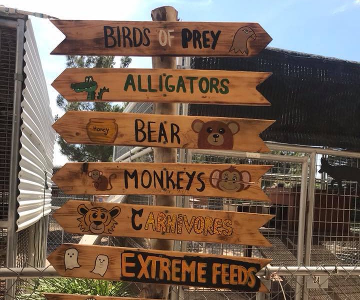 Wooden direction sign board of animals at a Preschool & Daycare Serving Hesperia, CA