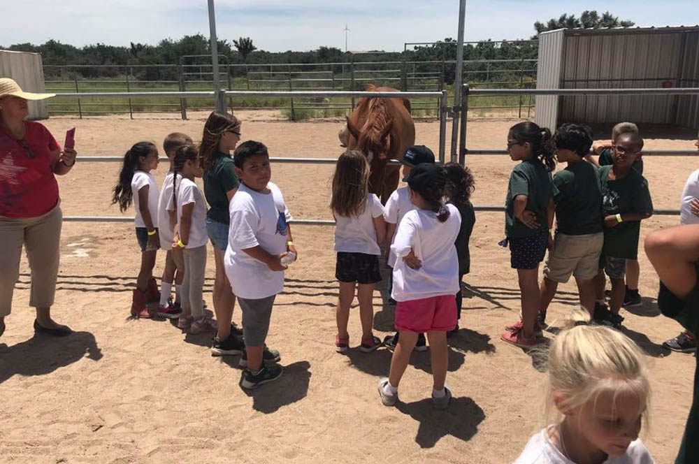 Field Trips Expose Little Ones to New Experiences